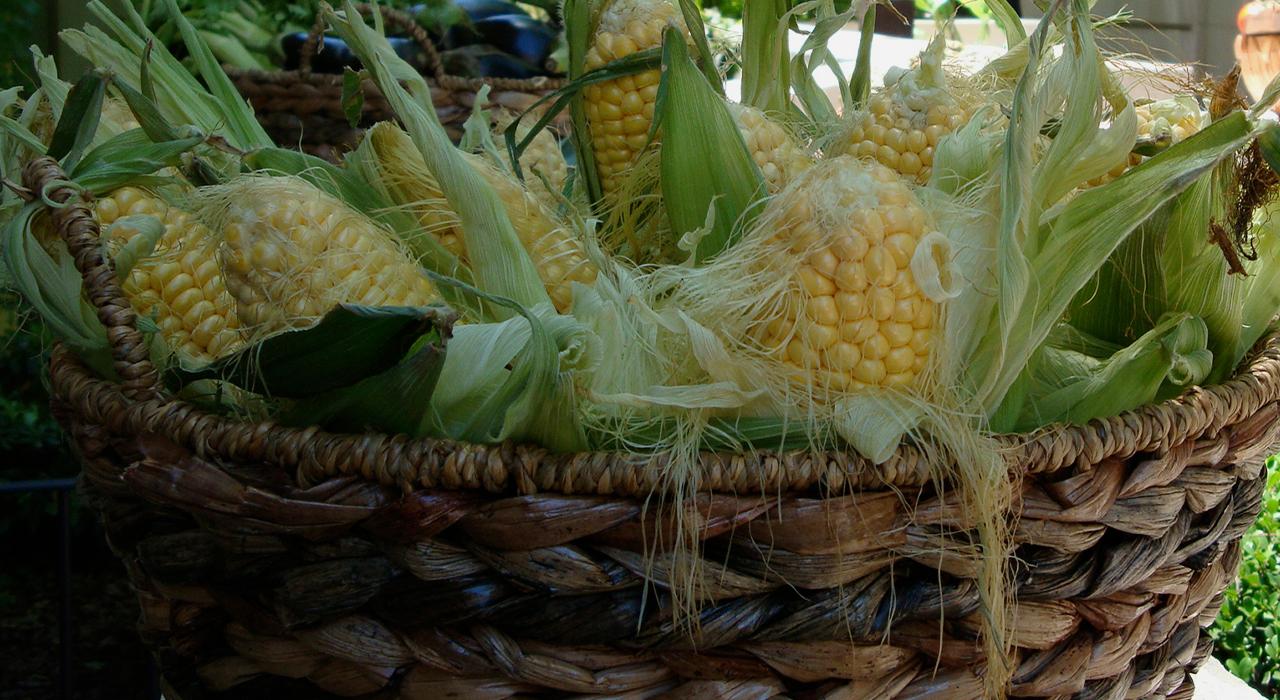 corns